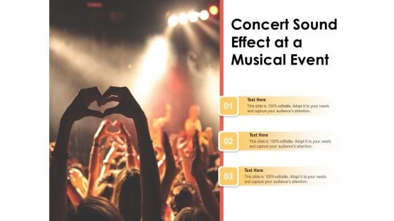 Concert Sound Effect At A Musical Event Ppt PowerPoint Presentation Pictures Design Ideas PDF Concert Sound Effect At A Musical Event Ppt PowerPoint Presentation Pictures Design Ideas PDF