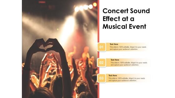 Concert Sound Effect At A Musical Event Ppt PowerPoint Presentation Pictures Design Ideas PDF