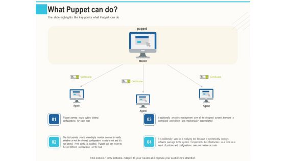 Configuration Management With Puppet What Puppet Can Do Ppt Infographics Graphics Design PDF