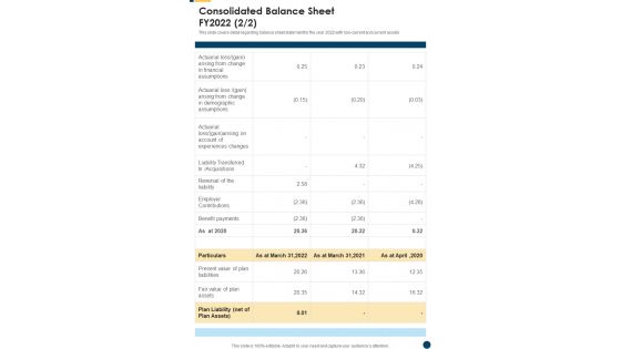 Consolidated Balance Sheet FY2022 Template 180 One Pager Documents