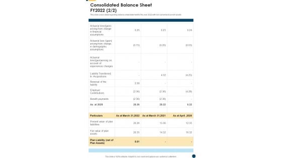 Consolidated Balance Sheet FY2022 Template 180 One Pager Documents Consolidated Balance Sheet FY2022 Template 180 One Pager Documents