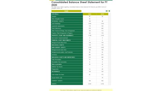 Consolidated Balance Sheet Statement For FY 2020 One Pager Documents