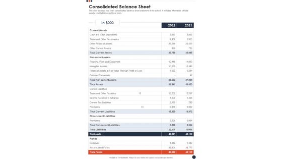 Consolidated Balance Sheet Template 65 One Pager Documents