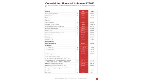 Consolidated Financial Statement FY2022 Template 362 One Pager Documents