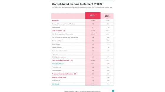 Consolidated Income Statement FY2022 One Pager Documents