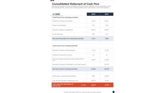 Consolidated Statement Of Cash Flow Template 66 One Pager Documents