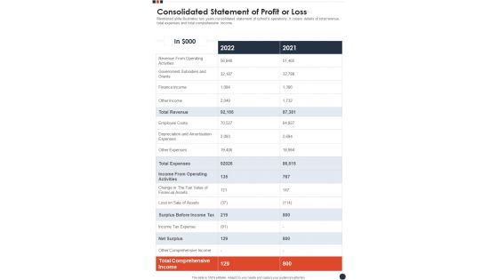 Consolidated Statement Of Profit Or Loss Template 68 One Pager Documents