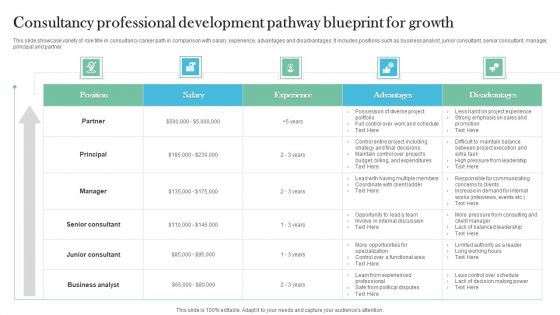 Consultancy Professional Development Pathway Blueprint For Growth Ideas PDF