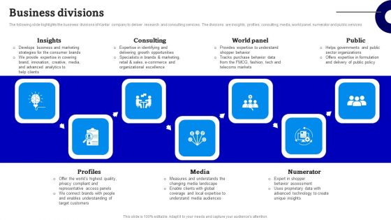 Consulting Firm Business Profile Business Divisions Themes PDF