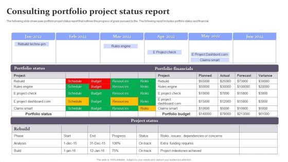 Consulting Portfolio Project Status Report Infographics PDF