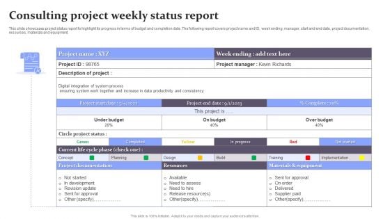 Consulting Project Weekly Status Report Pictures PDF