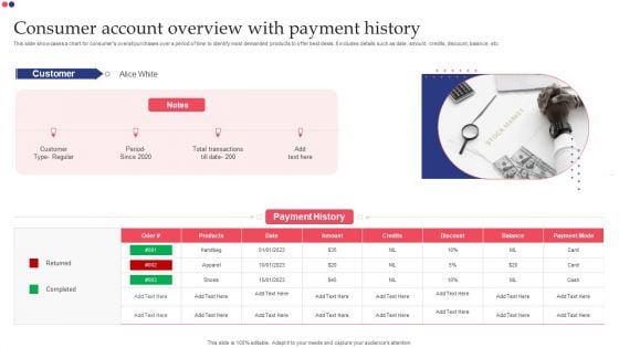 Consumer Account Overview With Payment History Pictures PDF