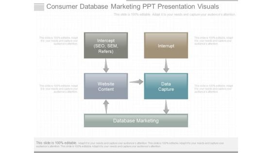 Consumer Database Marketing Ppt Presentation Visuals