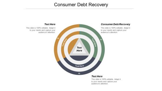 Consumer Debt Recovery Ppt PowerPoint Presentation Infographic Template Sample Cpb