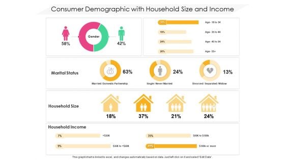 Consumer Demographic With Household Size And Income Ppt PowerPoint Presentation Icon Gallery PDF