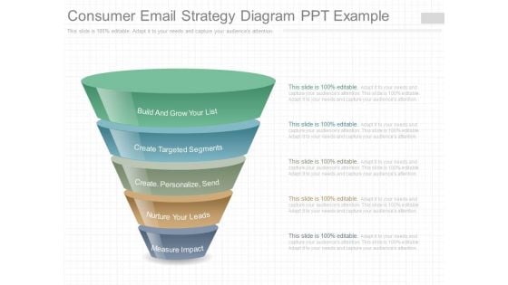 Consumer Email Strategy Diagram Ppt Example