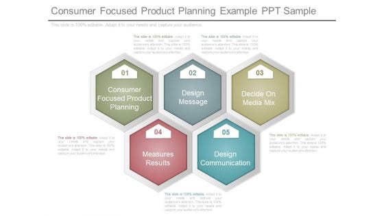 Consumer Focused Product Planning Example Ppt Sample