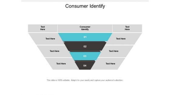 Consumer Identify Ppt PowerPoint Presentation Model File Formats Cpb