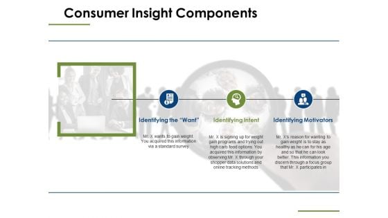 Consumer Insight Components Ppt PowerPoint Presentation Show Model