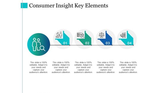 Consumer Insight Key Elements Ppt PowerPoint Presentation Pictures Outfit