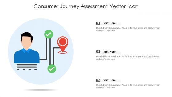 Consumer Journey Assessment Vector Icon Ppt Icon Picture PDF