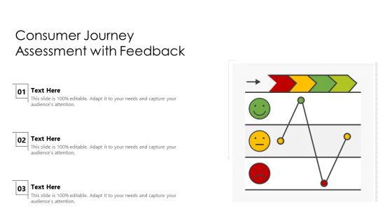 Consumer Journey Assessment With Feedback Ppt Infographics Files PDF