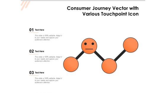 Consumer Journey Vector With Various Touchpoint Icon Ppt PowerPoint Presentation File Rules PDF