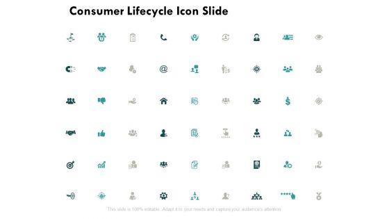 Consumer Lifecycle Icon Slide Business Ppt PowerPoint Presentation Model