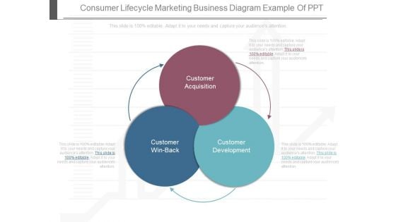 Consumer Lifecycle Marketing Business Diagram Example Of Ppt