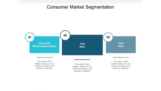 Consumer Market Segmentation Ppt PowerPoint Presentation Guide Cpb