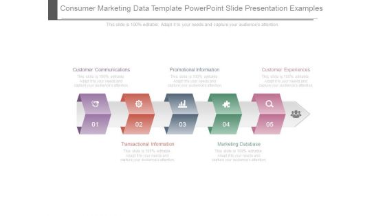 Consumer Marketing Data Template Powerpoint Slide Presentation Examples