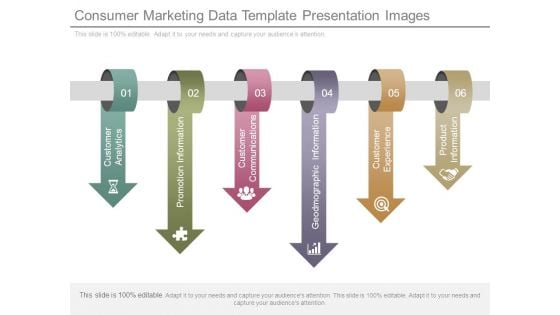 Consumer Marketing Data Template Presentation Images