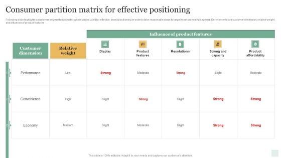 Consumer Partition Matrix For Effective Positioning Structure PDF