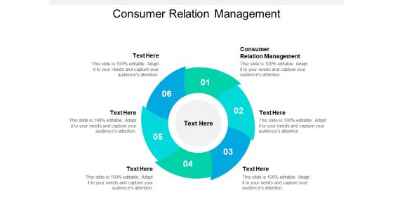 Consumer Relation Management Ppt PowerPoint Presentation Infographic Template Ideas Cpb