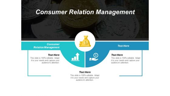 Consumer Relation Management Ppt PowerPoint Presentation Slides Layouts Cpb