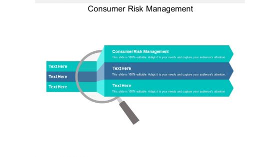 Consumer Risk Management Ppt PowerPoint Presentation File Graphic Tips Cpb