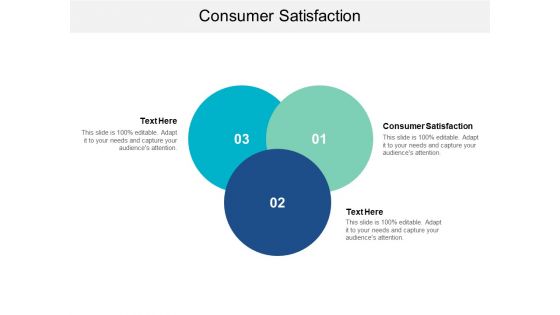 Consumer Satisfaction Ppt PowerPoint Presentation Infographics Images Cpb