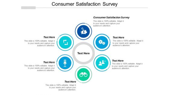 Consumer Satisfaction Survey Ppt PowerPoint Presentation Styles Guide Cpb