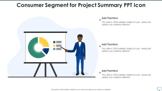 Consumer Segment For Project Summary PPT Icon Ideas PDF