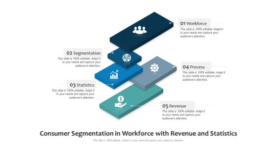 Consumer Segmentation In Workforce With Revenue And Statistics Ppt PowerPoint Presentation Icon Example File PDF