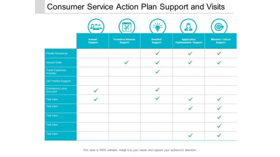 Consumer Service Action Plan Support And Visits Ppt Powerpoint Presentation Show Graphics Example