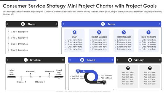 Consumer Service Strategy Mini Project Charter With Project Goals Ideas PDF