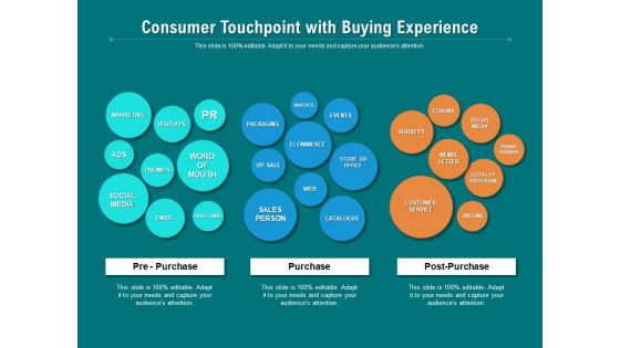 Consumer Touchpoint With Buying Experience Ppt PowerPoint Presentation File Backgrounds PDF