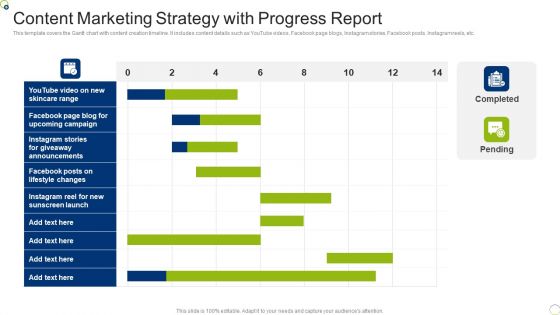 Content Marketing Strategy With Progress Report Download PDF