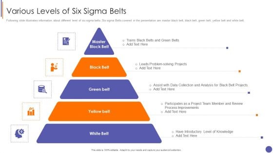 Contents For QA Plan And Process Set 3 Various Levels Of Six Sigma Belts Ideas PDF