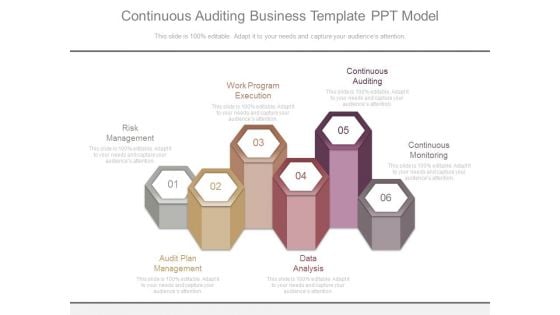 Continuous Auditing Business Template Ppt Model