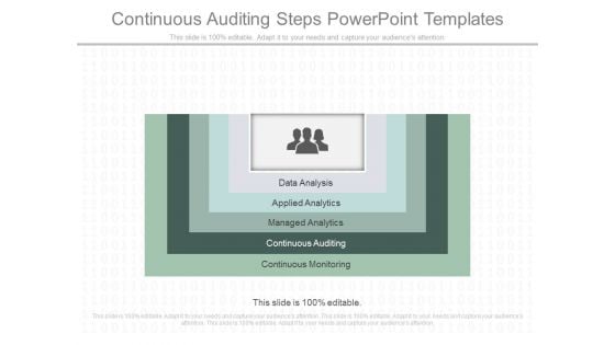 Continuous Auditing Steps Powerpoint Templates