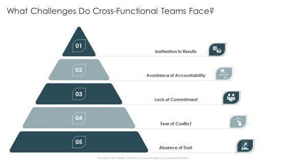 Continuous Team Development Culture What Challenges Do Cross-Functional Teams Face Demonstration PDF