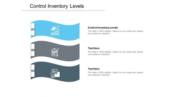 Control Inventory Levels Ppt PowerPoint Presentation Slides Structure Cpb