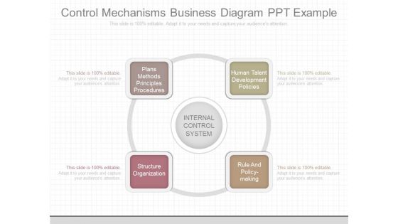 Control Mechanisms Business Diagram Ppt Example